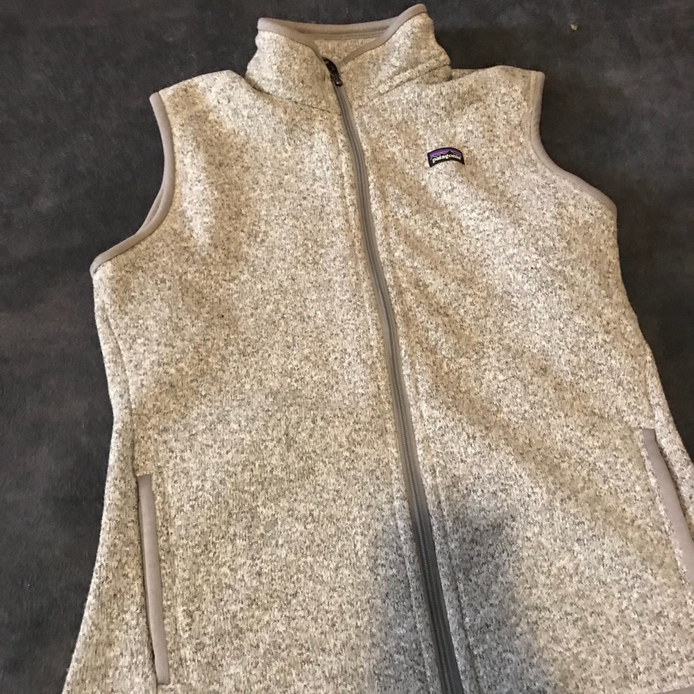 Pataagonia grey Fleece Vest better sweater